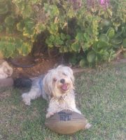 Every day is made for playing